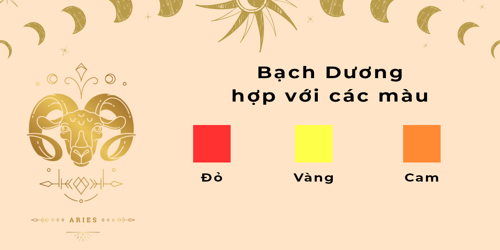 cung-bach-duong-hop-mau-gi-2-1713169523.jpg