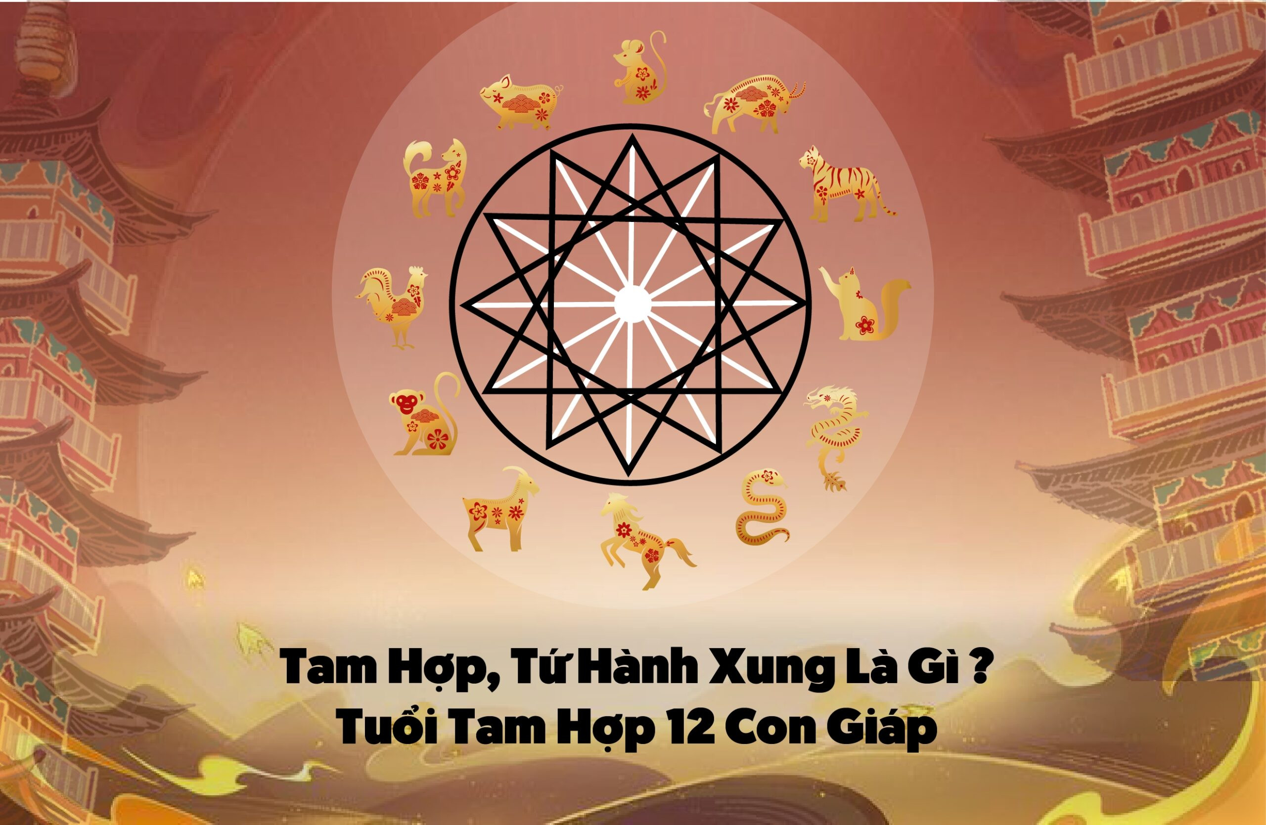 tuoi-tam-hop-la-gi-1-1713756918.jpg