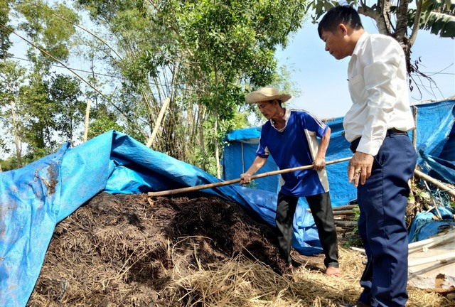 Nằm mơ thấy cháy đống rơm bị mục