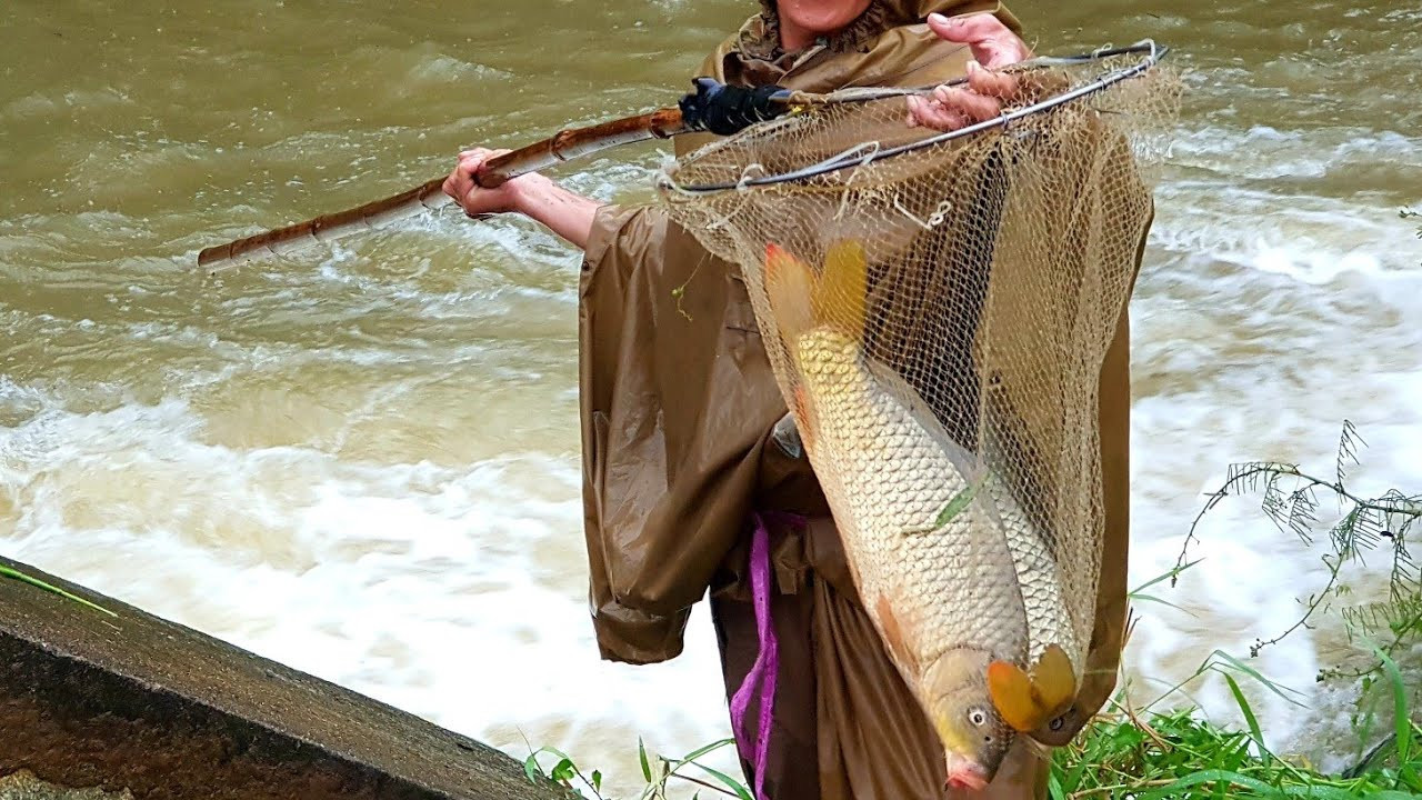 Nằm mơ thấy bắt cá hai tay dự đoán bạn sắp gặp nhiều thuận lợi trong cuộc sống