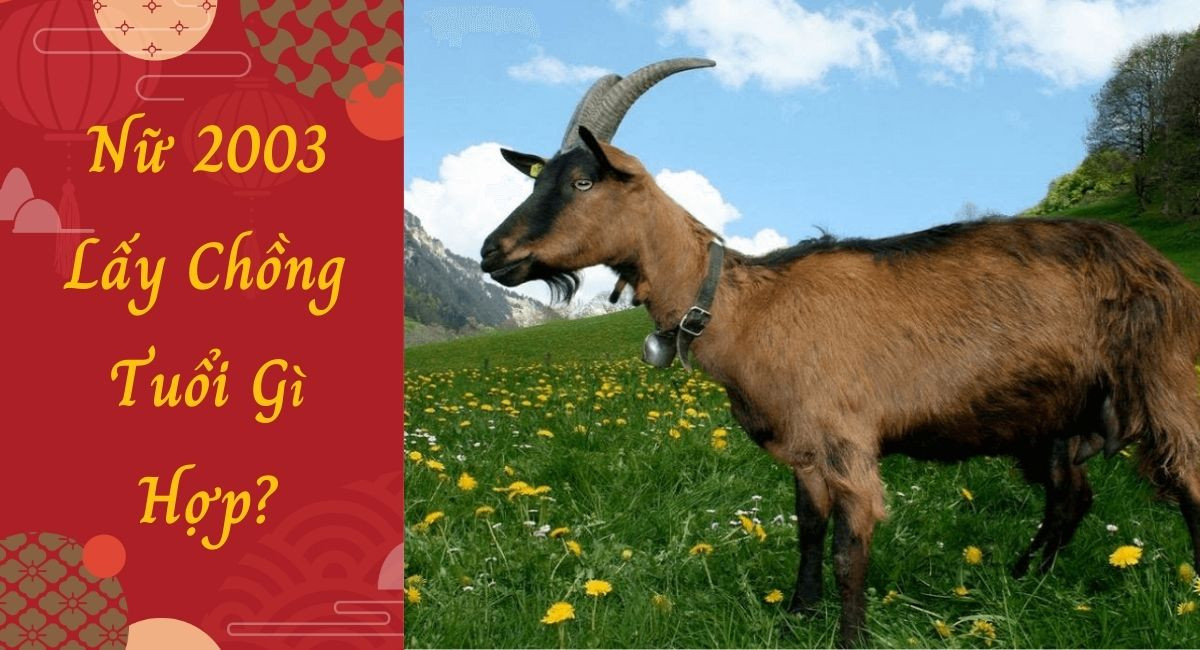 Nữ 2003 Lấy Chồng Tuổi Gì Hợp Để Hạnh Phúc Viên Mãn, Giàu Có